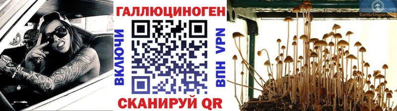 Галлюциногенные грибы мицелий  Кириши 